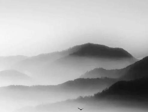 鱸魚產于哪里?吃鱸魚有哪些好處?