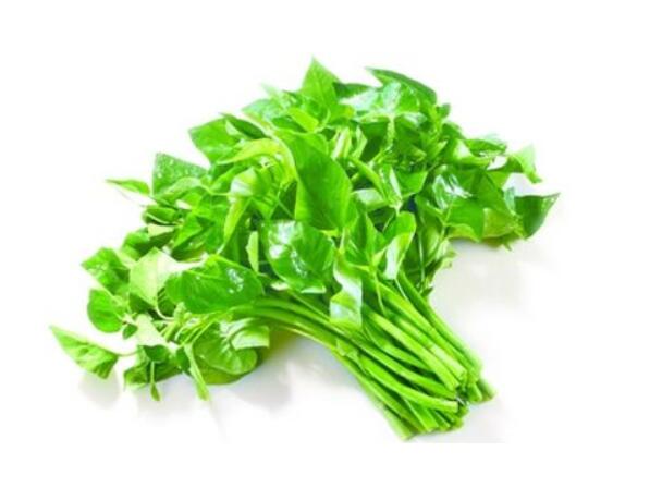 空心菜通便排毒好處多,小心吃空心菜禁忌