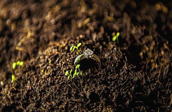 東方家園為什么倒閉?東方家園大股東蔣躍敏被抓