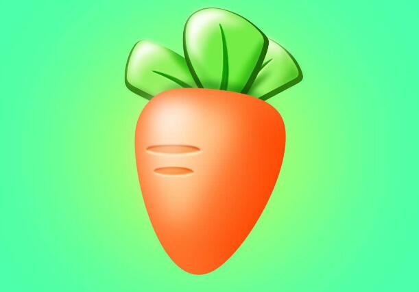 五行蔬菜湯的價格功效作用,五行湯怎么做?