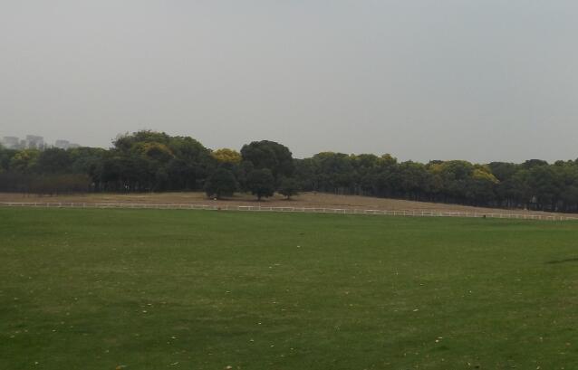 尹天照萬綺雯羅生門事件,什么是羅生門事件?