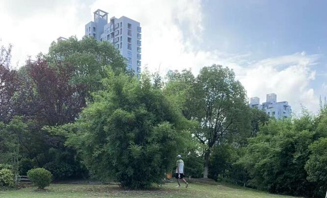 �űȵ�����С�r����Ƭ���W�t�űȵ����������ˆ᣿