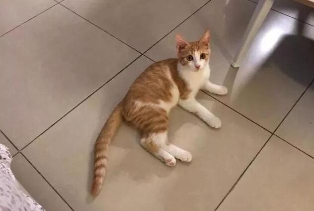 ����Ҫ��Ҫ���B(y��ng)����؈���^����Ҫ��������؈