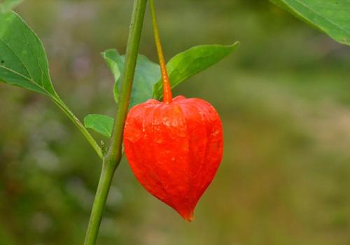 ���\�ݵĹ�Ч�c����,���\���ж��᣿