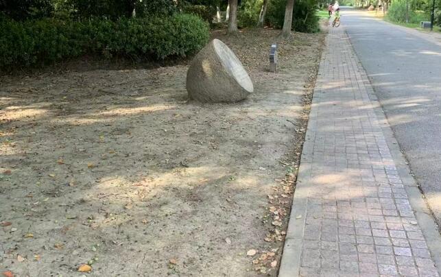 ������Ĺ�Ч�c����,������Ĺ�Ч�c����