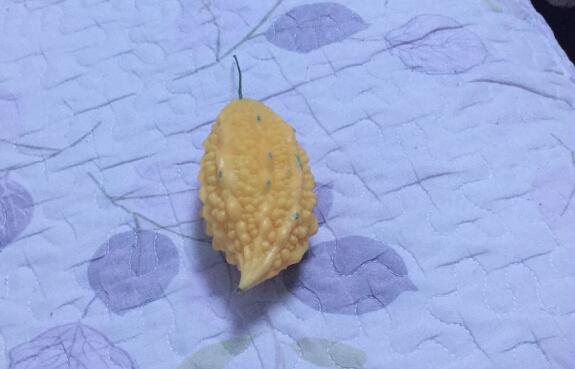 ���Ĺ��Ĺ�Ч�c���ã��ЋD�ܳԺ��Ĺ��᣿