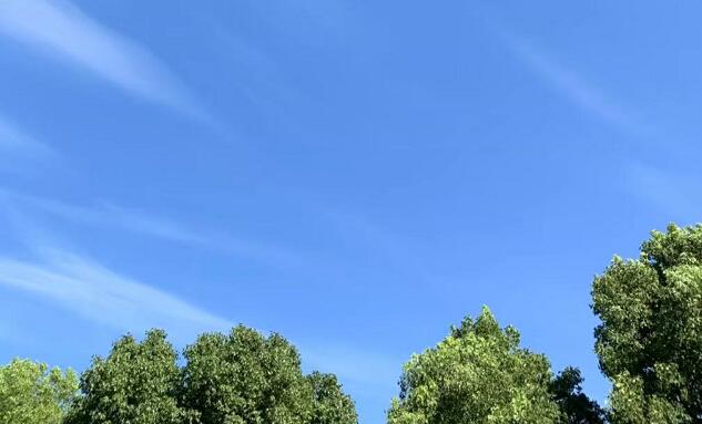 �ߺ��������ڼ����������ߺ��������^���l�ع�