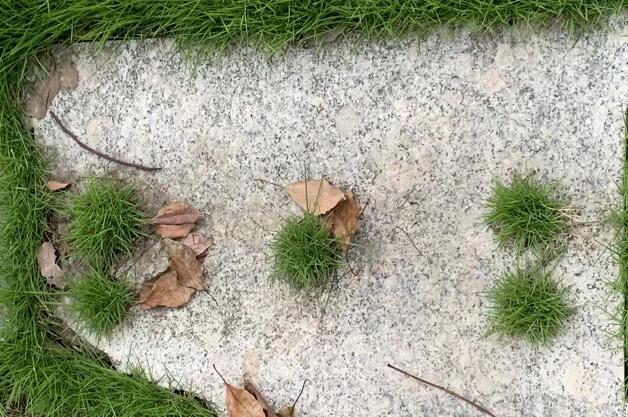 墨菲定律什么意思,降準什么意思?