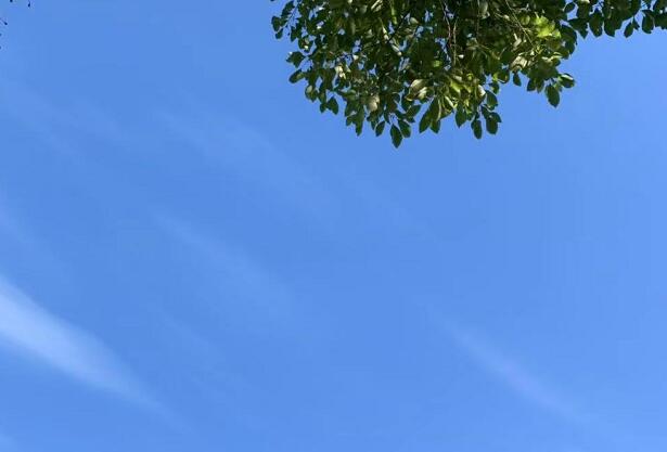 2019年秋霞魯絲片瓜皮,超pen個人視頻公開視頻