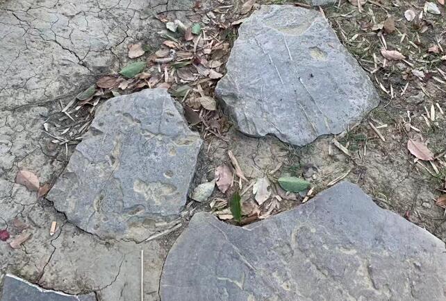 頭皮屑多是什么原因,昆池巖怎樣去除頭皮屑?