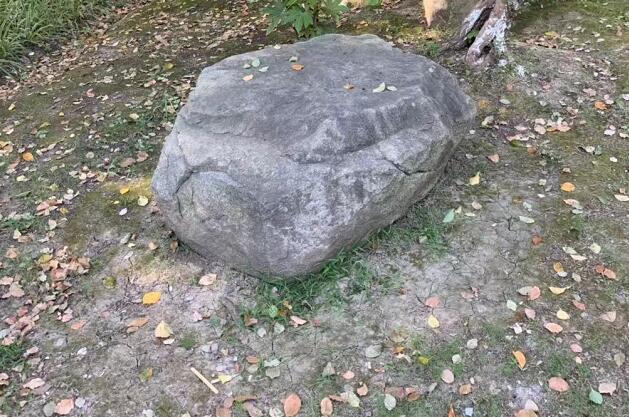 ��Ǿ��Ĺ�Ч����Ǿ��Ĺ�Ч�ͽ���