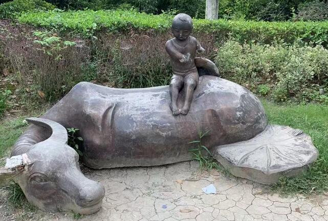 ţ������ʲô��ţ�����Ĺ�Ч�c����