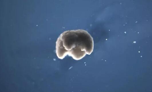 �����㱱Ӱ�T�¼�,�����㱱Ӱ�T����ҕ�l