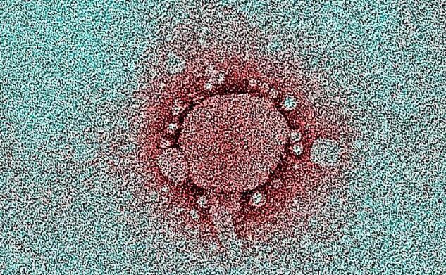 新型肺炎列入乙類傳染病,頭孢是什么藥?