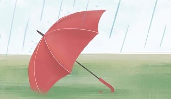 ���w�ϳ��FС�t�c����ô���£������z�Ľ���