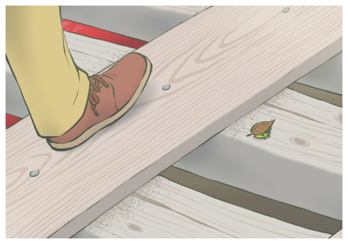 �_���������ӲƤ��ʲôԭ�򣿱Ƞ�������