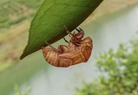 ��֪�˺�Ľ���,Ů�˳Խ��s�ĺ�̎