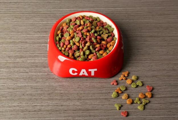 ��ÓƤ��ʲôԭ���µ�?Ƣθ̓���ı��F�ͰY��