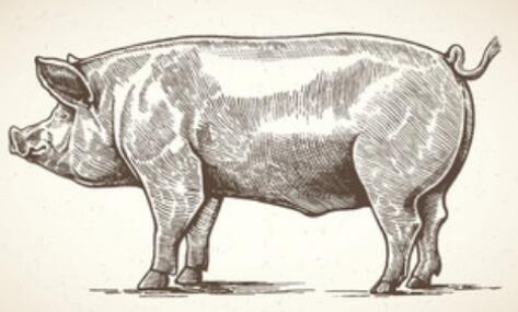 ����ֻ��һ������ʲô�����Ǿ��Ǵ���ʲô����