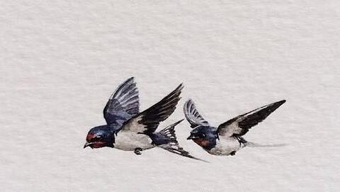 ���^����Ůʿ������_�ыD����̫�o�ˊA������