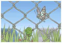 漫畫的啟示作文待業啄木鳥,文案句子傷感