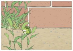 這屆世界杯含中量有點高,卡塔爾世界杯獎金方案出爐