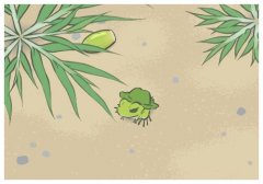 深情的告白文案,放好心態(tài)順其自然的句子