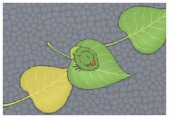 含連花清瘟口罩專利獲授權,檸檬也遭搶購原因?