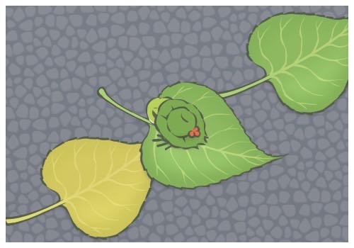 含連花清瘟口罩專利獲授權