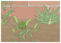 開啟美好一天的句子,晚霞黃昏優(yōu)美簡(jiǎn)短句子