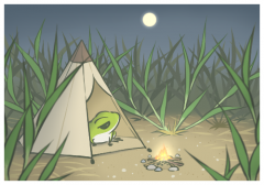 晚霞黃昏優(yōu)美簡(jiǎn)短句子,開啟美好一天的句子