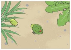 每日積累優美句子,晚安最吸引人的句子