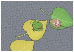 異性對你說晚安瑪卡巴卡,晚安瑪卡巴卡算曖昧嗎?