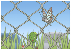 撞王楚欽的瑞典女記者被處罰,王楚欽第一時間收起球拍